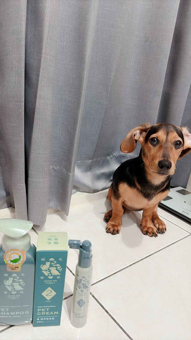 女人知己試用大隊,口碑行銷,部落客行銷,Goodmofamily歸毛家族 寵物肌膚救星組,歸毛家族 寵物肌膚救星,舒敏保濕洗毛乳,護膚噴液,精萃營養霜,博士30年生技專業,給足皮膚營養保護力,無抗生素 無類固醇,神經醯胺,19種綜合胺基酸,榮獲SNQ國家認證,上萬毛爸媽見證,3週幫助皮膚健康,NO.1寵物肌膚口碑霸主,寵物第一護膚領導品牌